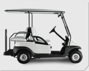 golf cart rentals putinbay